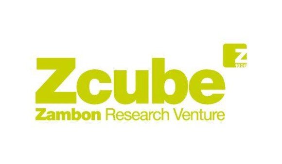 2003: Birth of Z-Cube